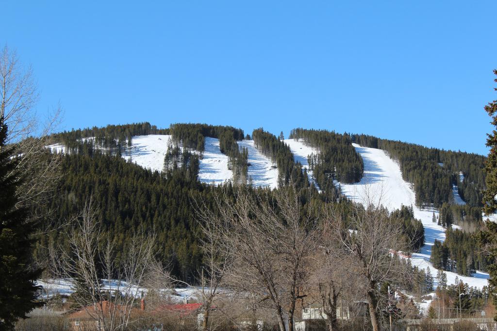The Cosmopolitan Hotel Blairmore Экстерьер фото